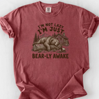 Bearly Awake T-Shirt — Brick
