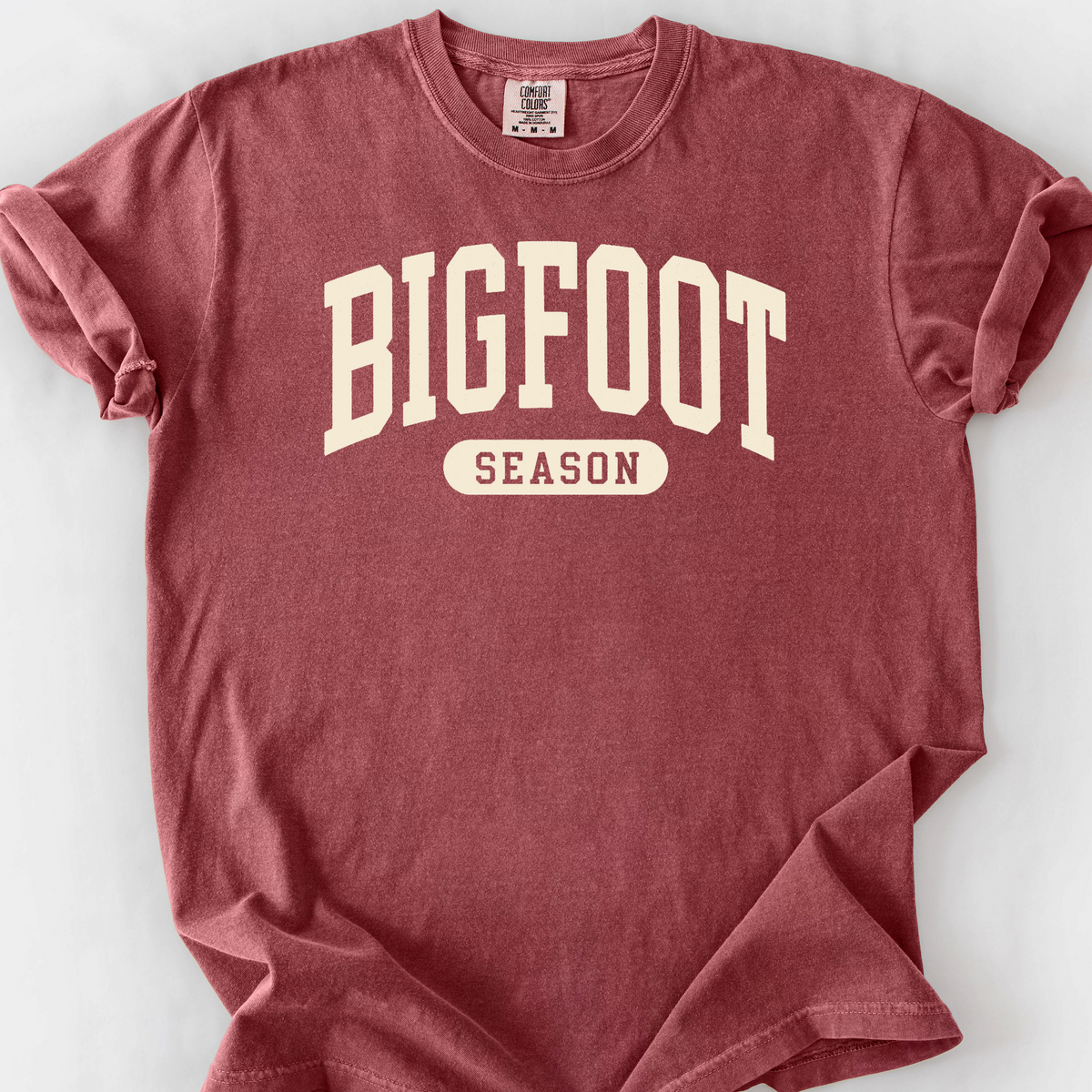 Bigfoot Season T-Shirt — Brick