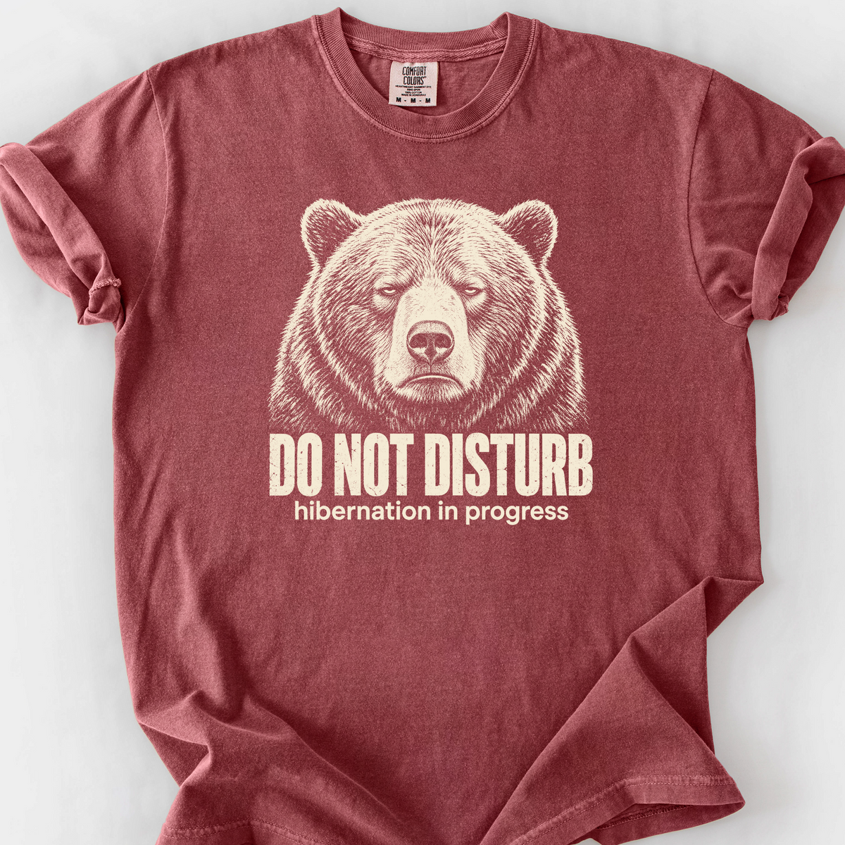 Do Not Disturb Hibernation T-Shirt — Brick