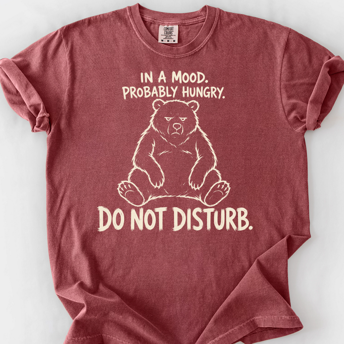 Do Not Disturb T-Shirt — Brick