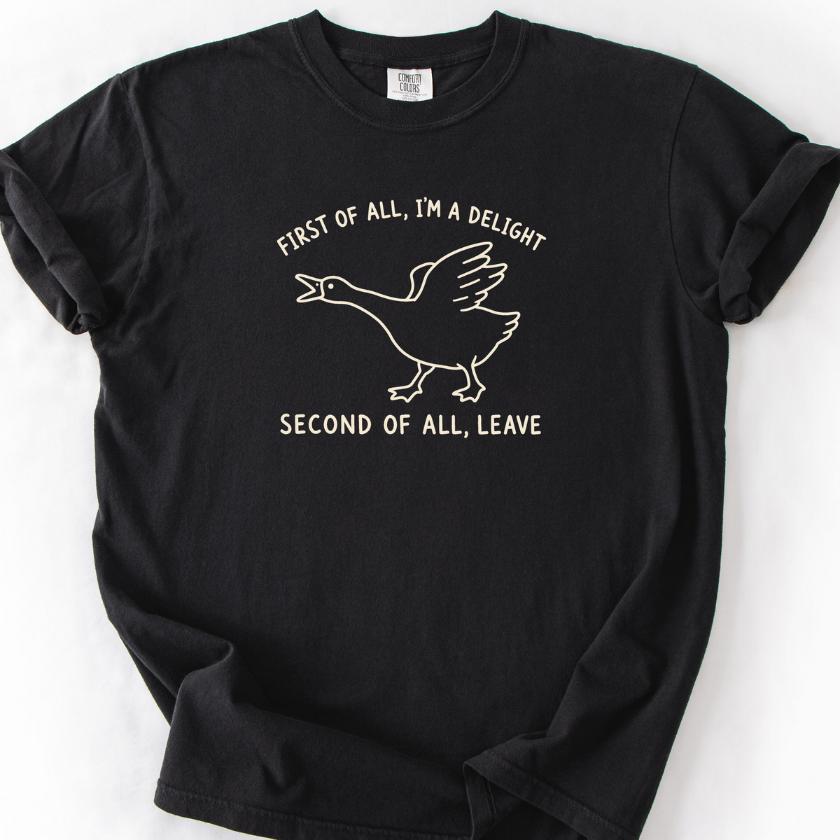 First Of All Im A Delight T-Shirt — Black