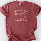 First Of All Im A Delight T-Shirt — Brick