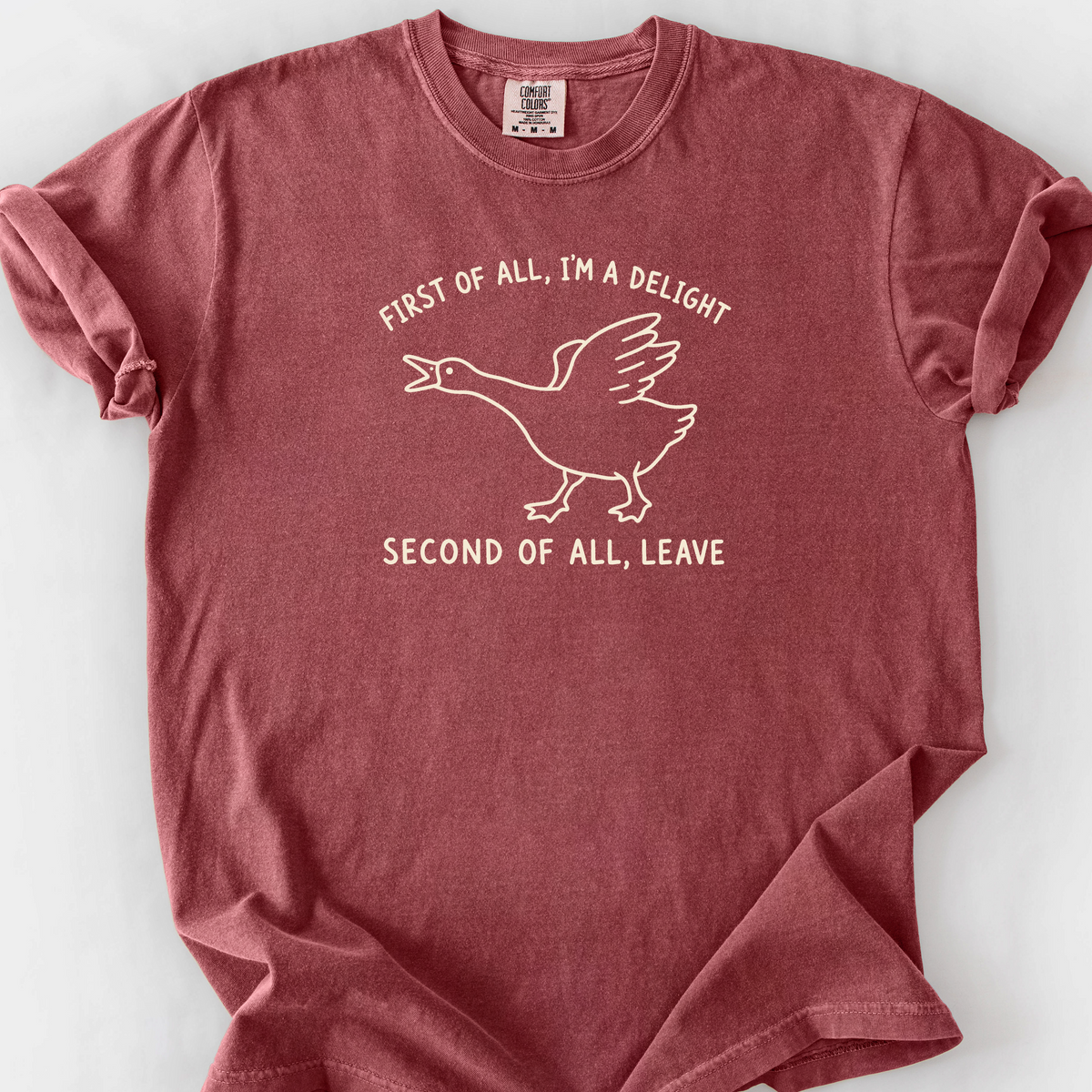 First Of All Im A Delight T-Shirt — Brick