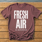 fresh air in moderation_headline deadpan subtitle T-Shirt — Brick