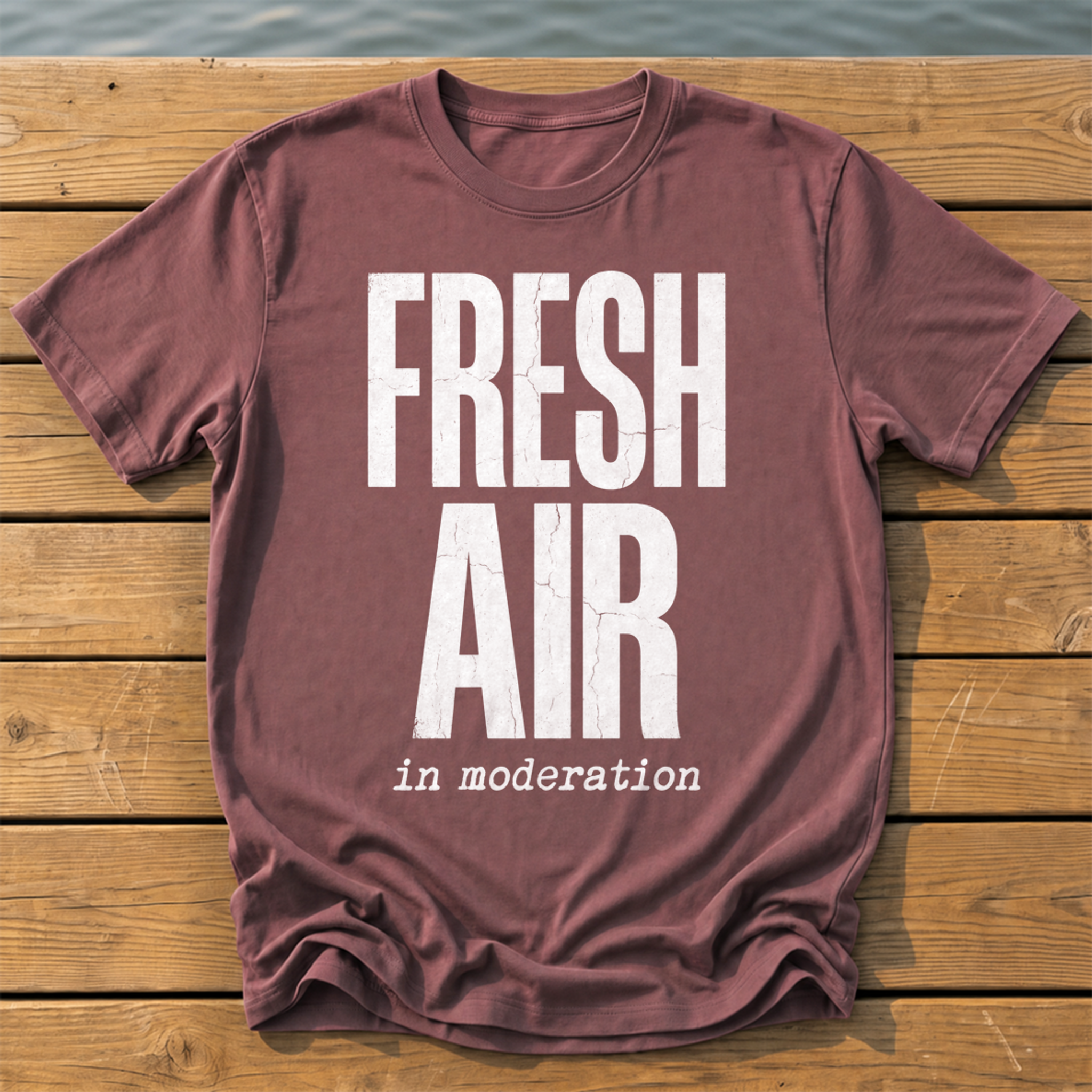 fresh air in moderation_headline deadpan subtitle T-Shirt — Brick