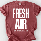 Fresh Air in Moderation T-Shirt — Brick