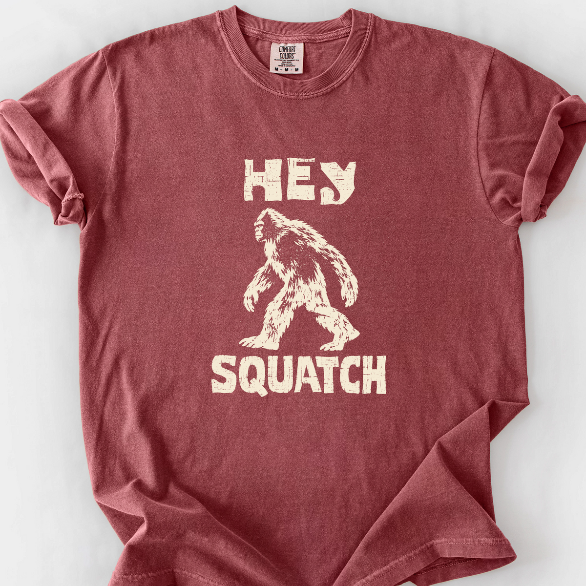 Hey Squatch T-Shirt — Brick