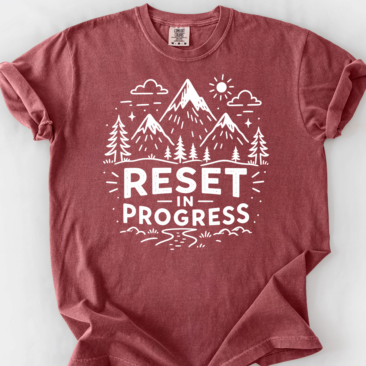 Reset In Progress — Brick