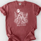 Tiny Hands, Big Crimes — Brick