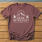 hf 20260723 221134 a22b6b76 b7bb 45cf a3 T-Shirt — Brick