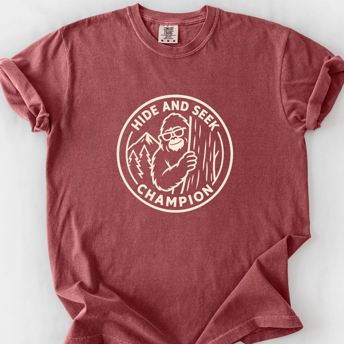Hide And Seek Champion (Peekaboo) T-Shirt — Brick