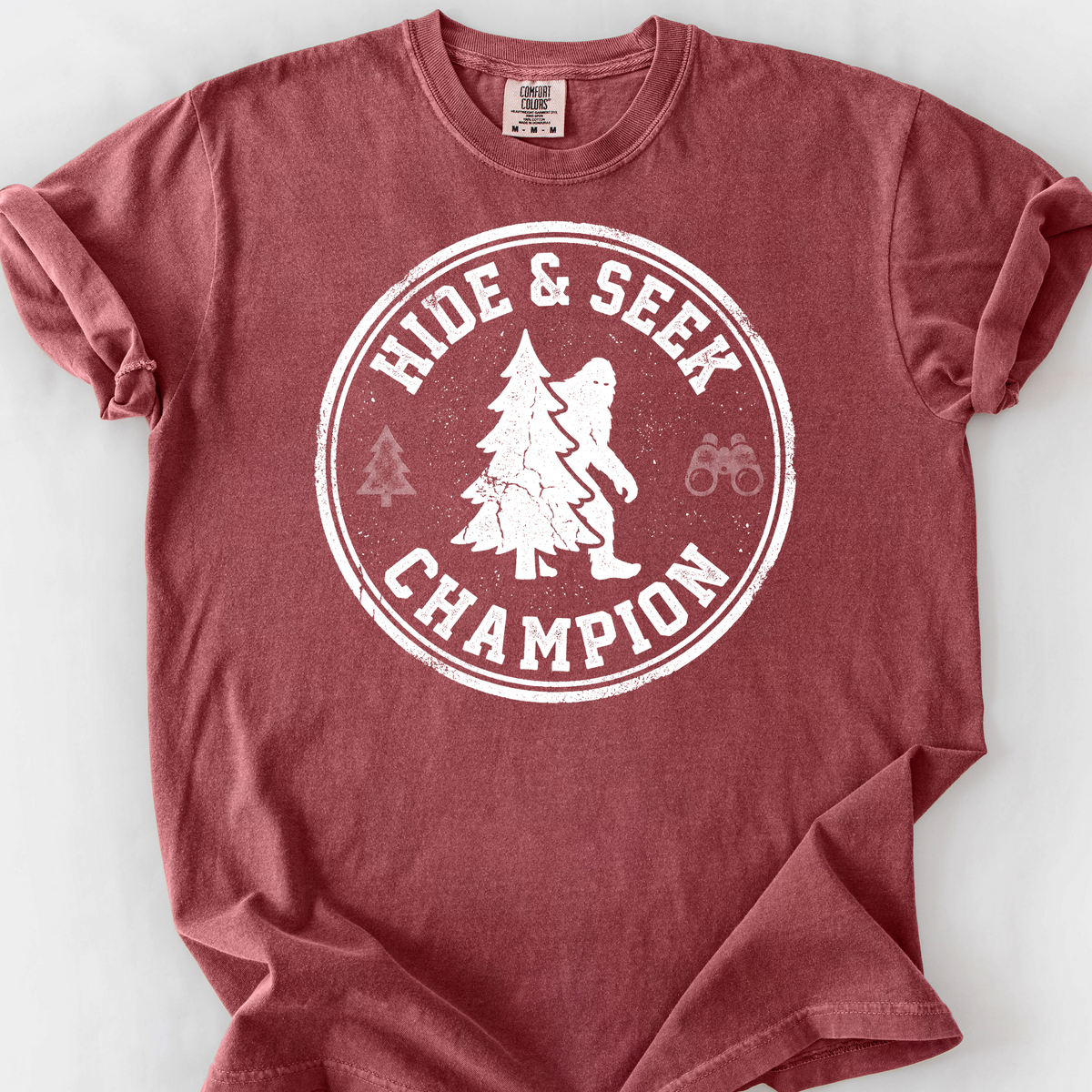 Hide And Seek Champion T-Shirt — Brick