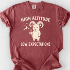 High Altitude Low Expectations T-Shirt — Brick