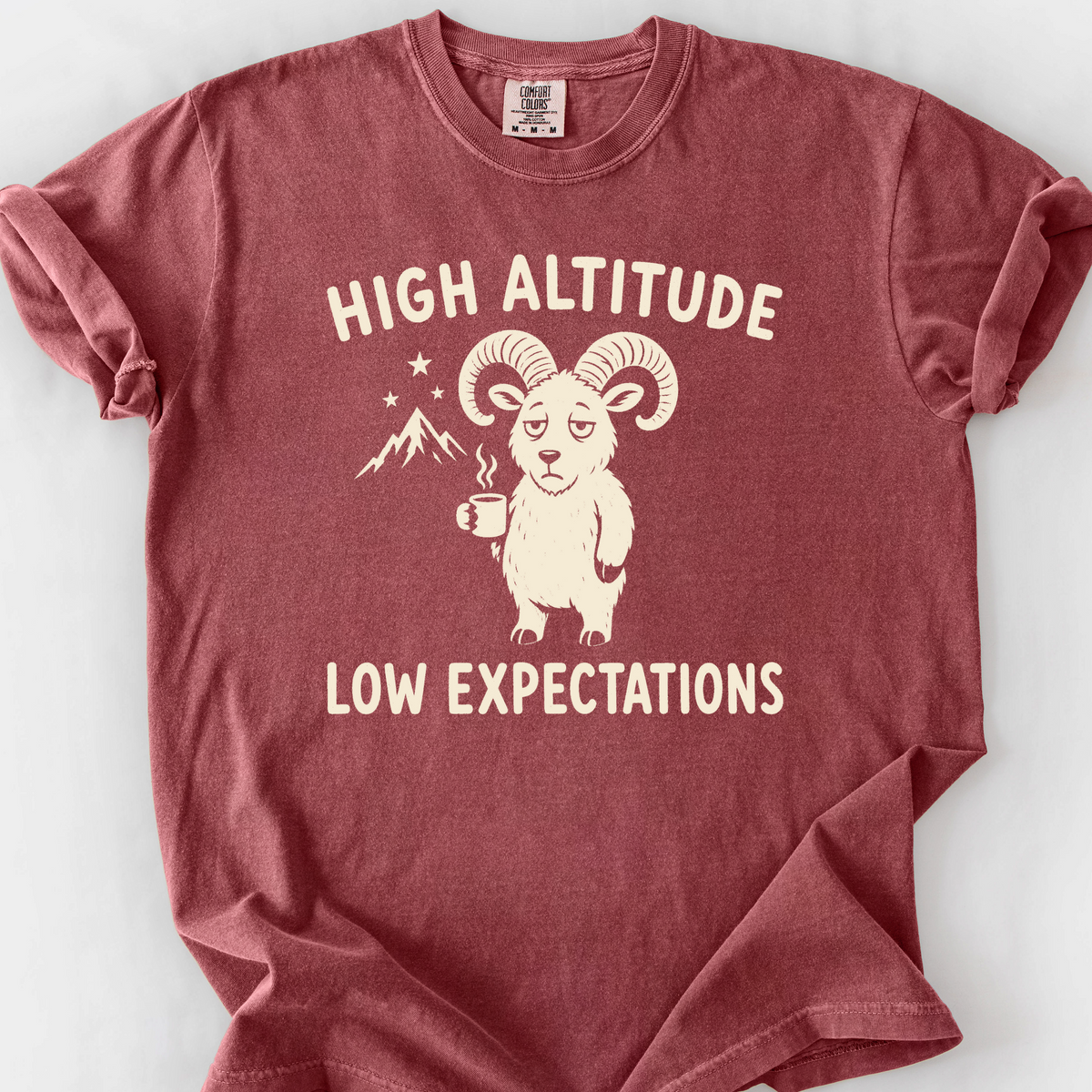 High Altitude Low Expectations T-Shirt — Brick