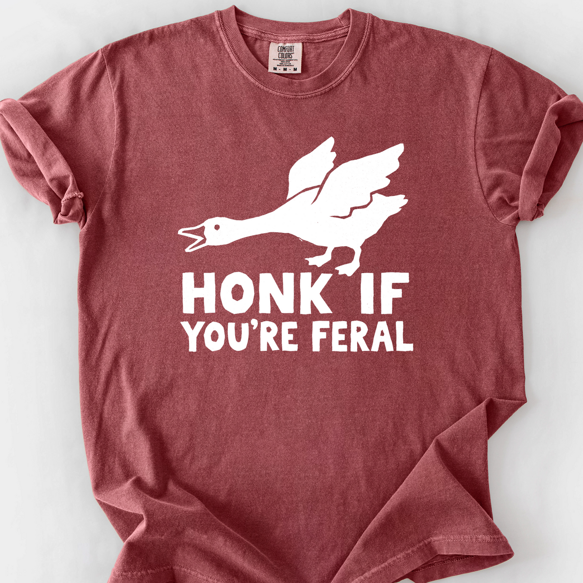 Honk If You're Feral T-Shirt — Brick