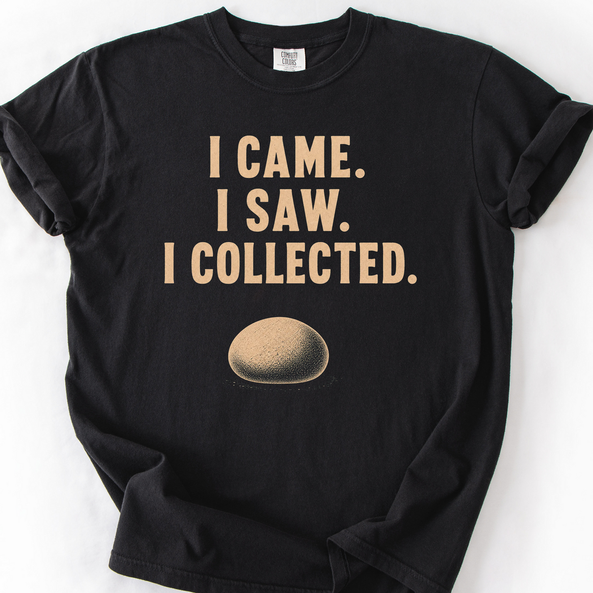 I Came I Saw I Collected T-Shirt — Black