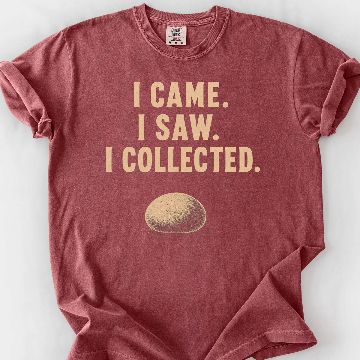I Came I Saw I Collected T-Shirt — Brick