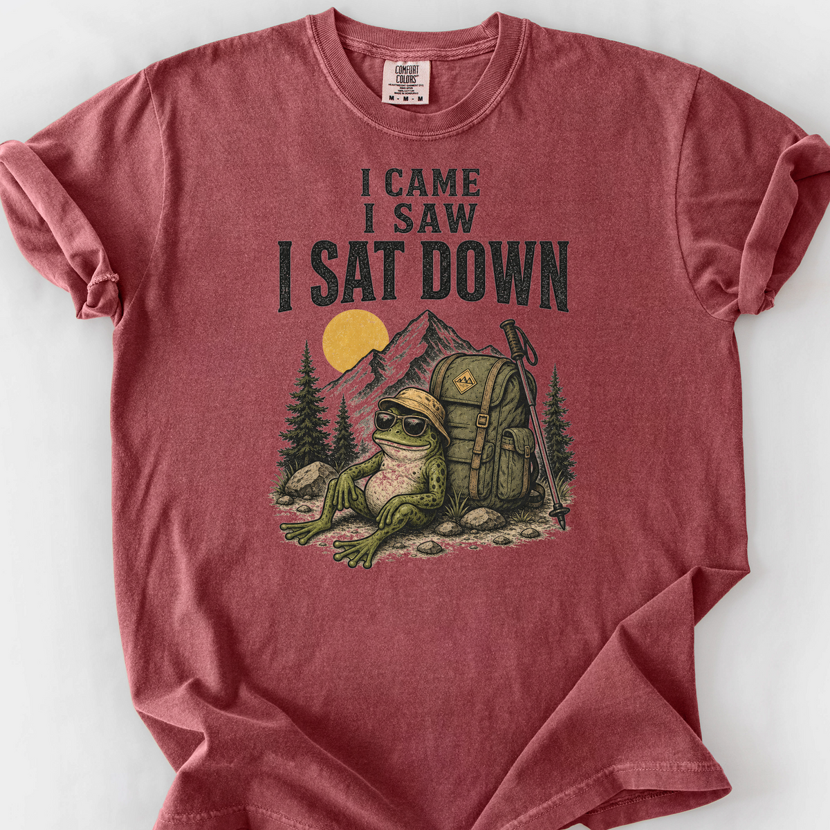 I Came I Saw I Sat Down T-Shirt — Brick