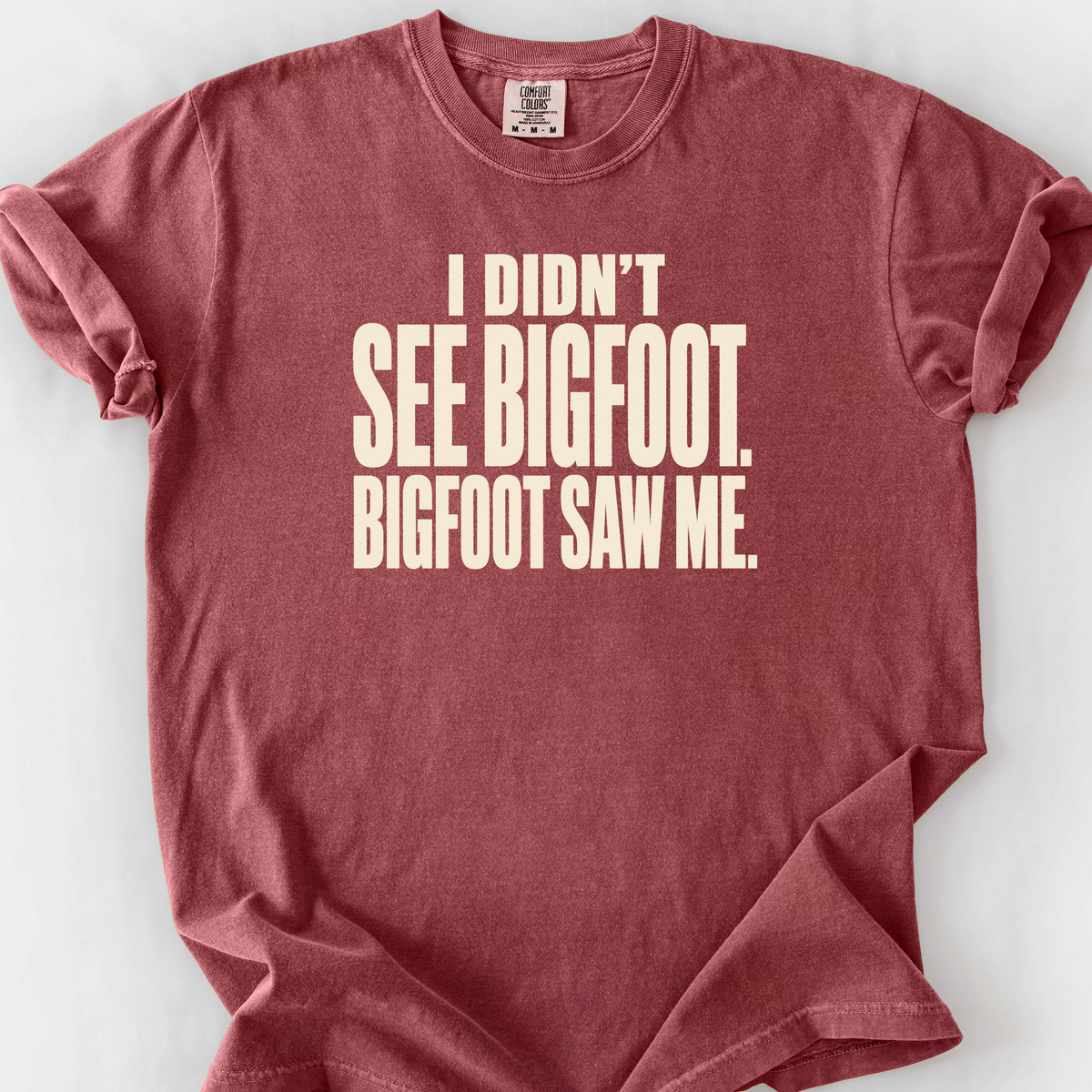 I Didnt See Bigfoot Bigfoot Saw Me T-Shirt — Brick