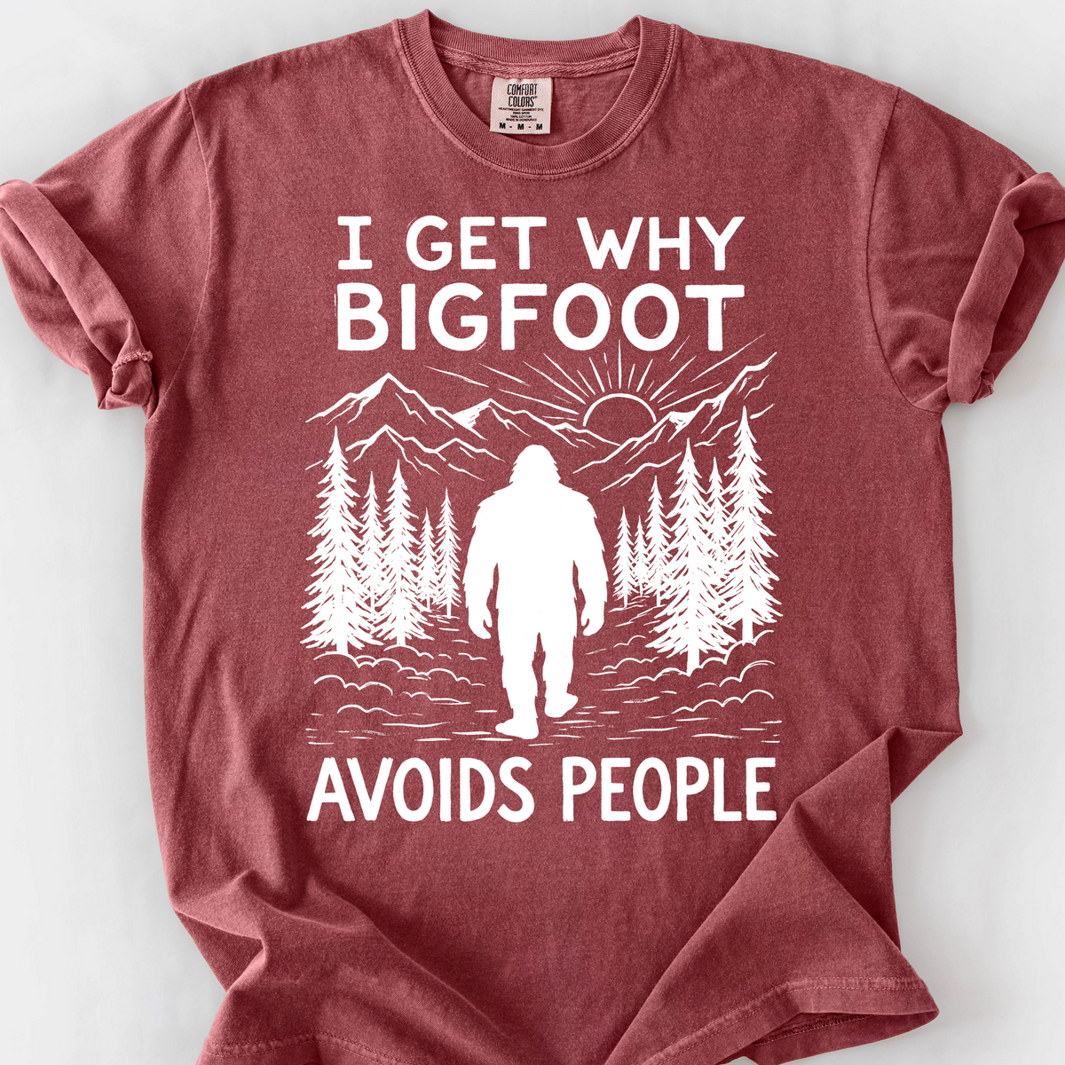 I Get Why Bigfoot Avoids People T-Shirt — Brick