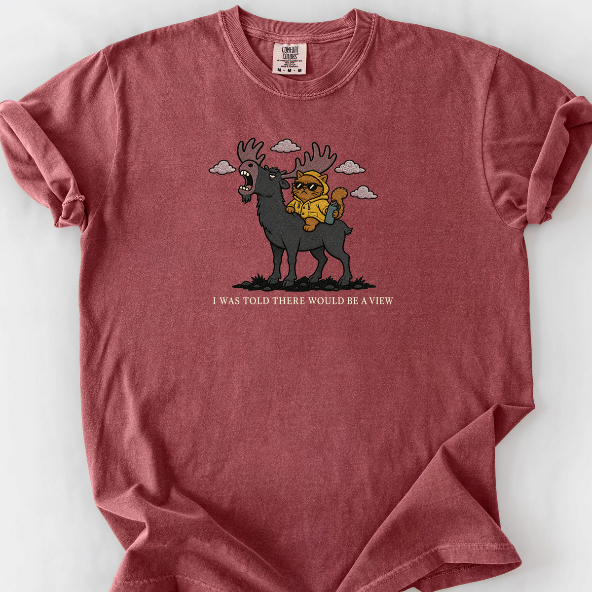 I Was Told There Would Be A View T-Shirt — Brick