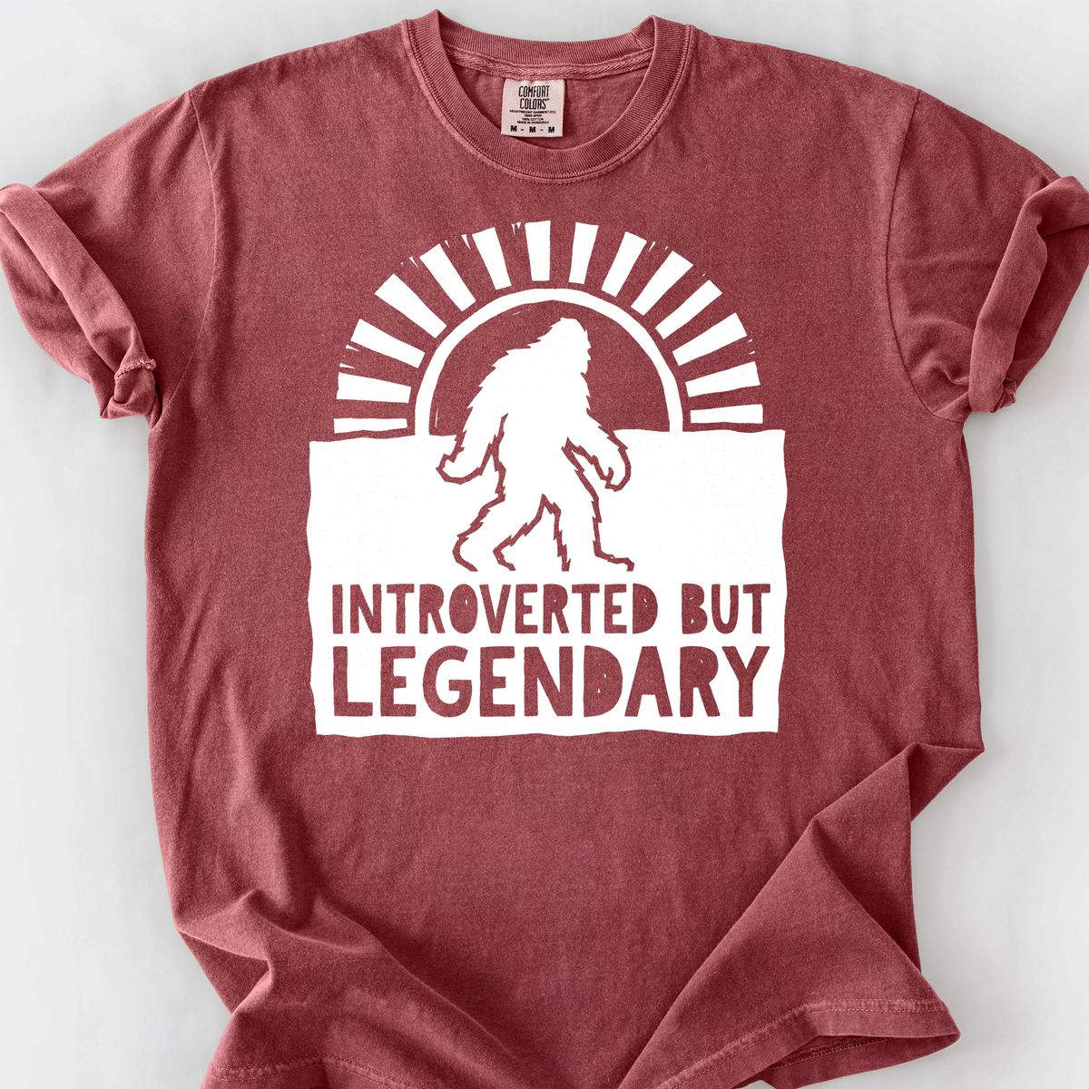Introverted But Legendary T-Shirt — Brick