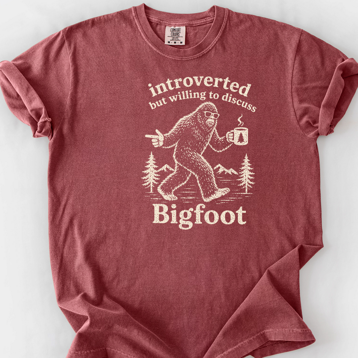 Introverted But Willing To Discuss Bigfoot T-Shirt — Brick