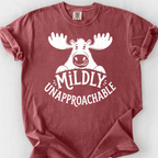 Mildly Unapproachable T-Shirt — Brick