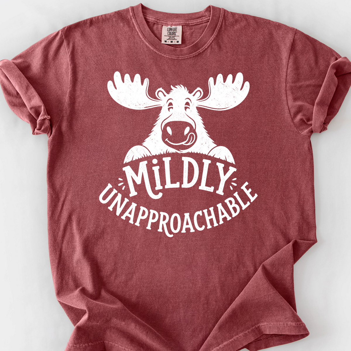 Mildly Unapproachable T-Shirt — Brick