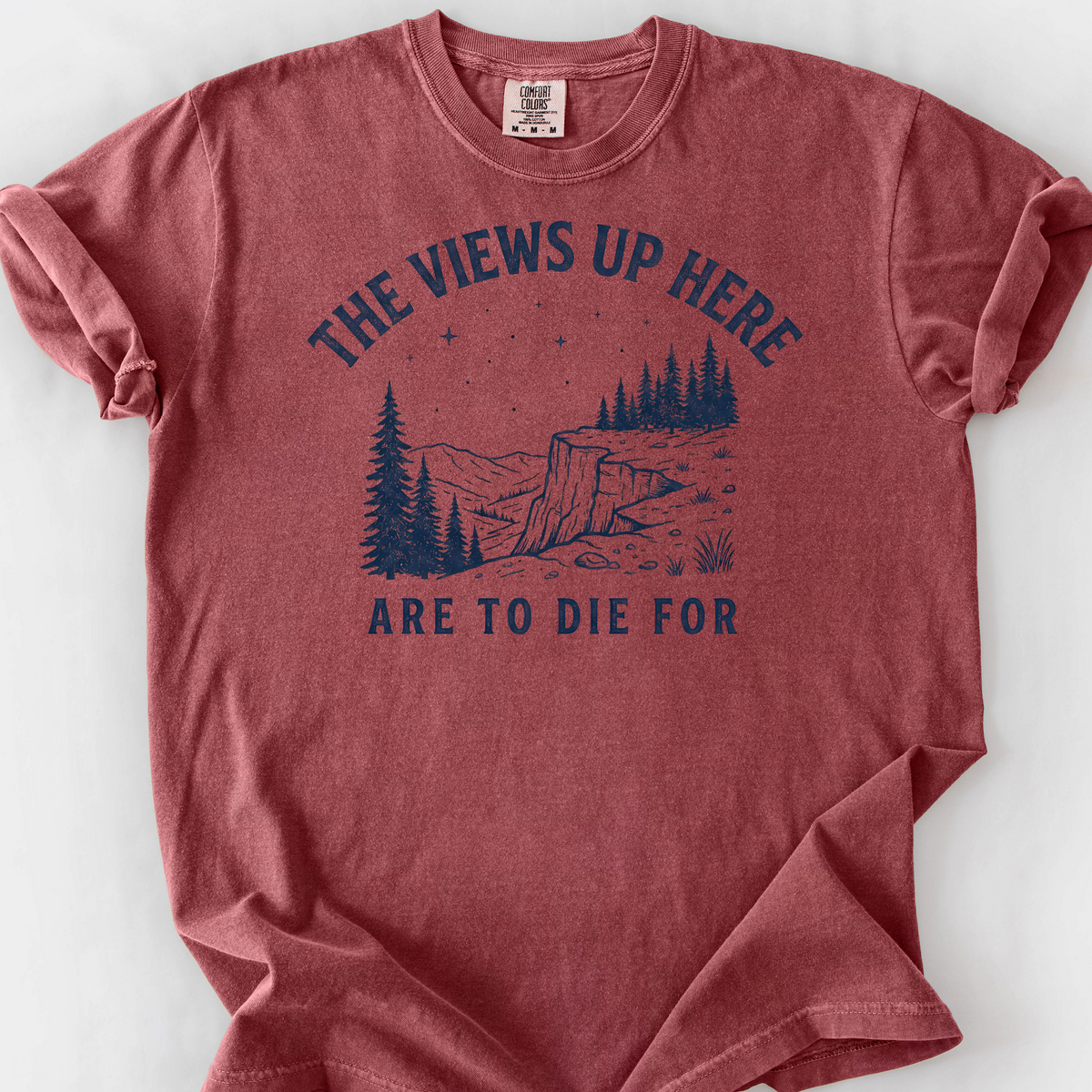 The Views Up Here — Brick