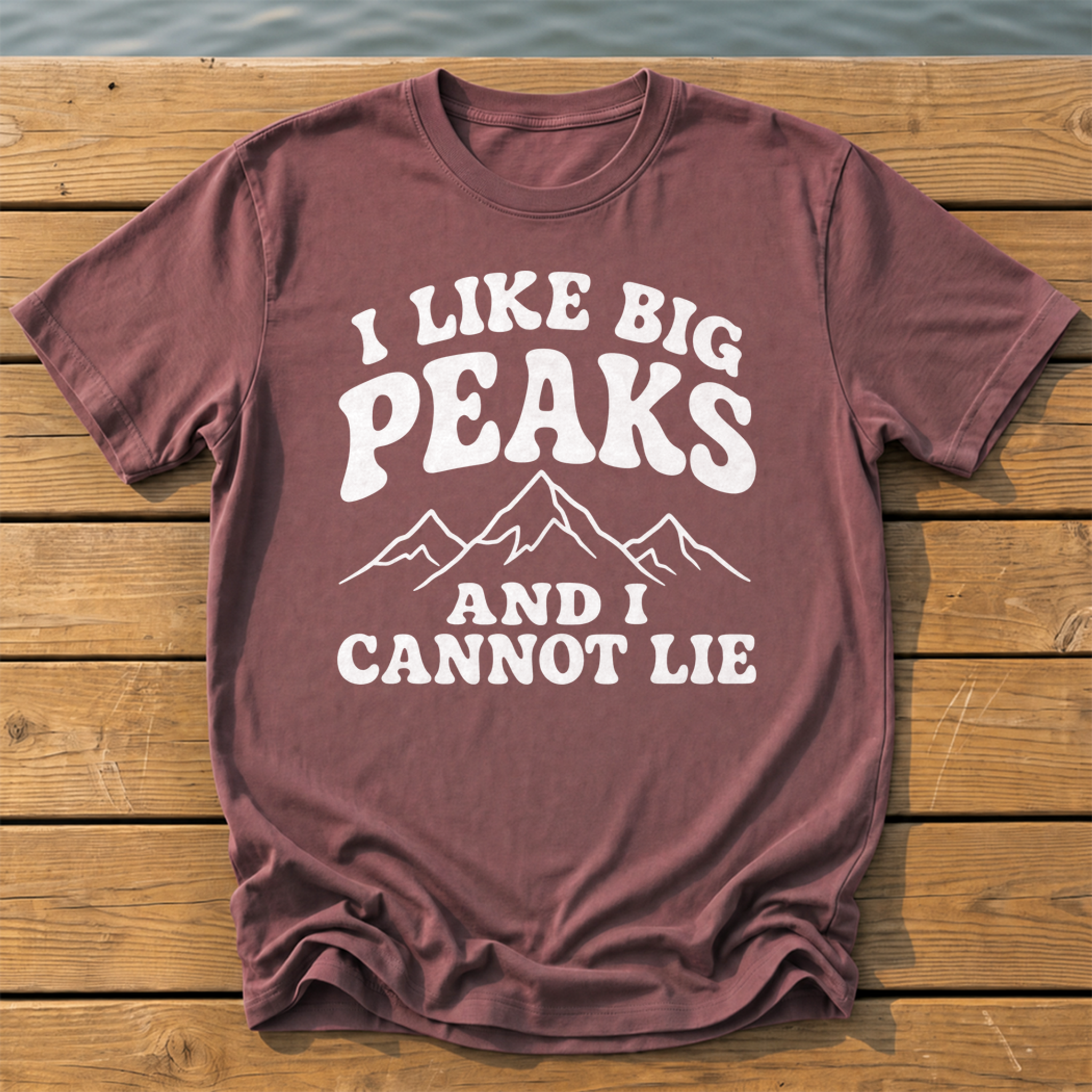 Outside-ish Design 19 T-Shirt — Brick