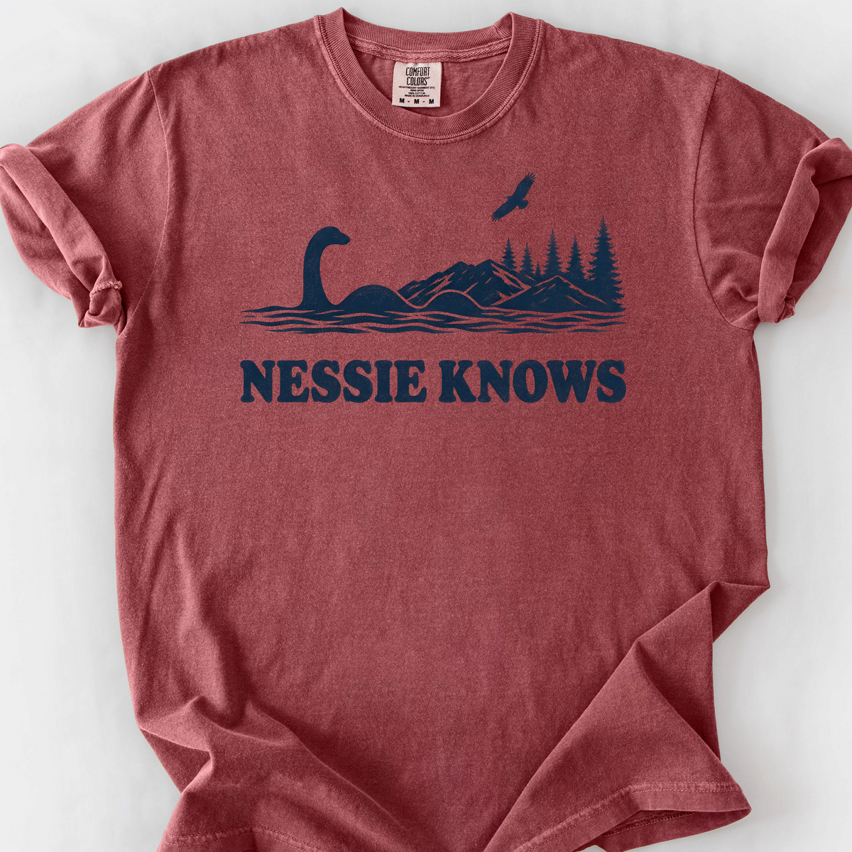 Nessie Knows — Brick