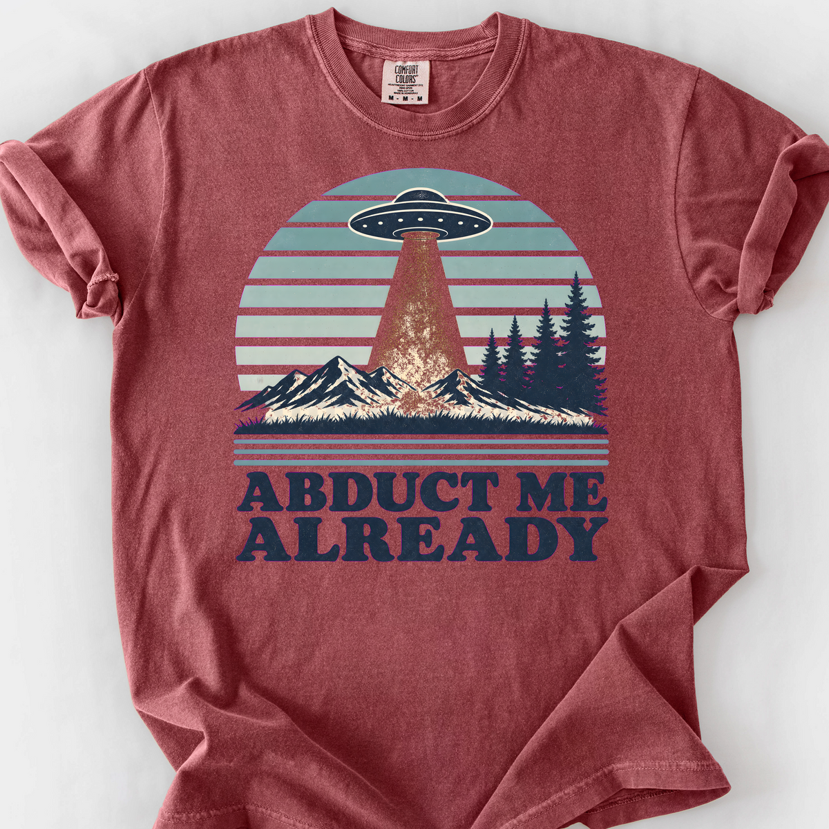 Abduct Me Already — Brick