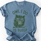Owl I Do Is Sleep T-Shirt — Blue Jean
