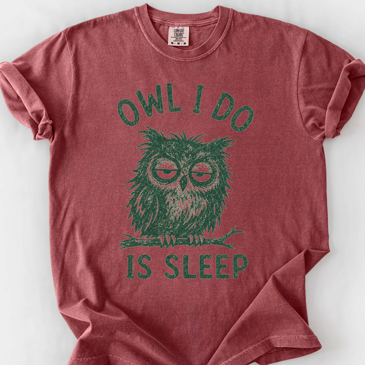 Owl I Do Is Sleep T-Shirt — Brick