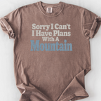 Plans With A Mountain T-Shirt — Espresso
