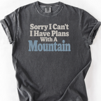 Plans With A Mountain T-Shirt — Pepper