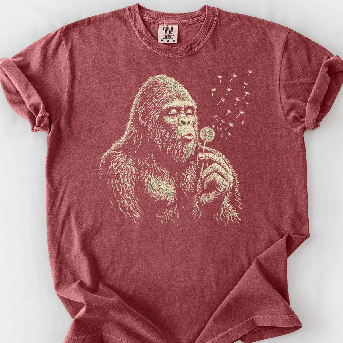 Sasquatch Wishes T-Shirt — Brick