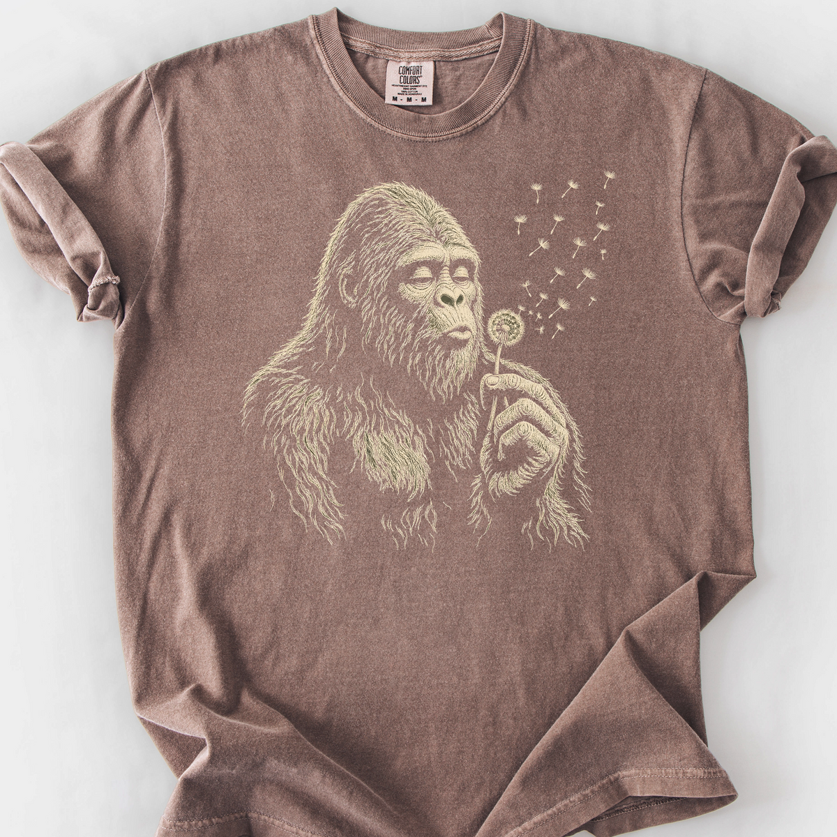 Sasquatch Wishes T-Shirt — Espresso