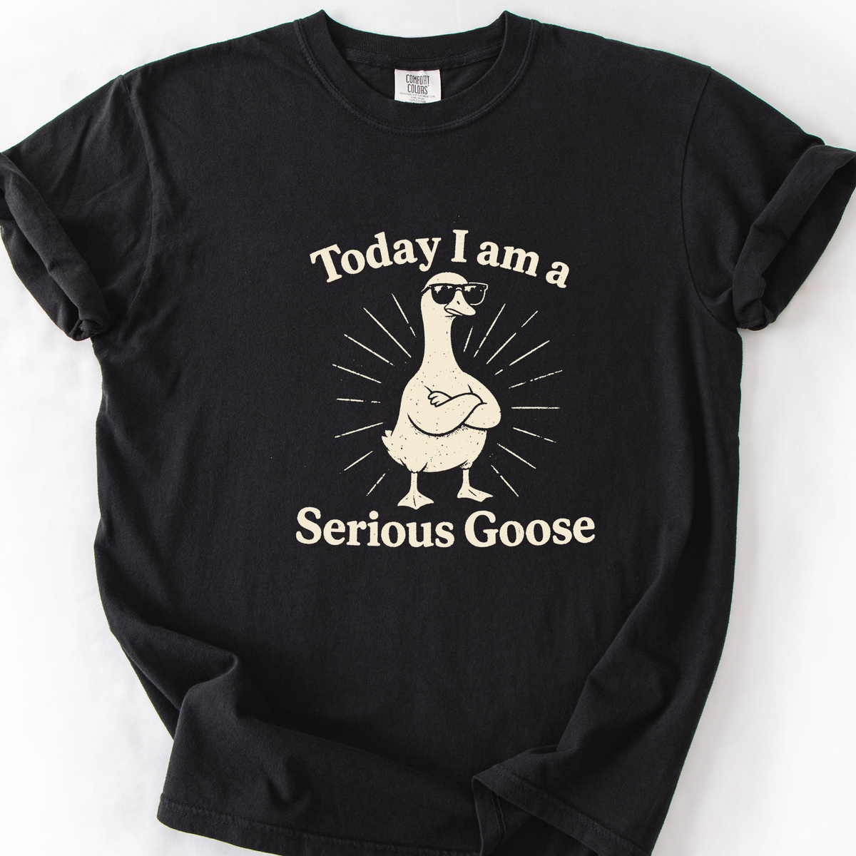 Serious Goose (LV) T-Shirt — Black