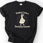 Serious Goose (Sunglasses) T-Shirt — Black