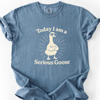 Serious Goose (LV) T-Shirt — Blue Jean