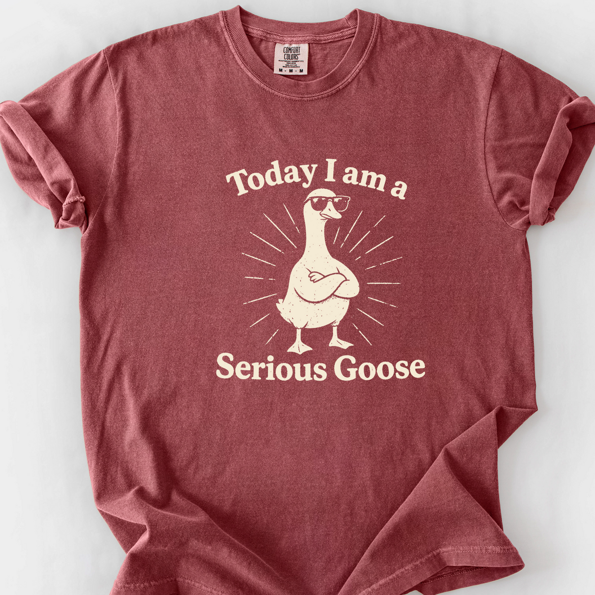 Serious Goose (Sunglasses) T-Shirt — Brick