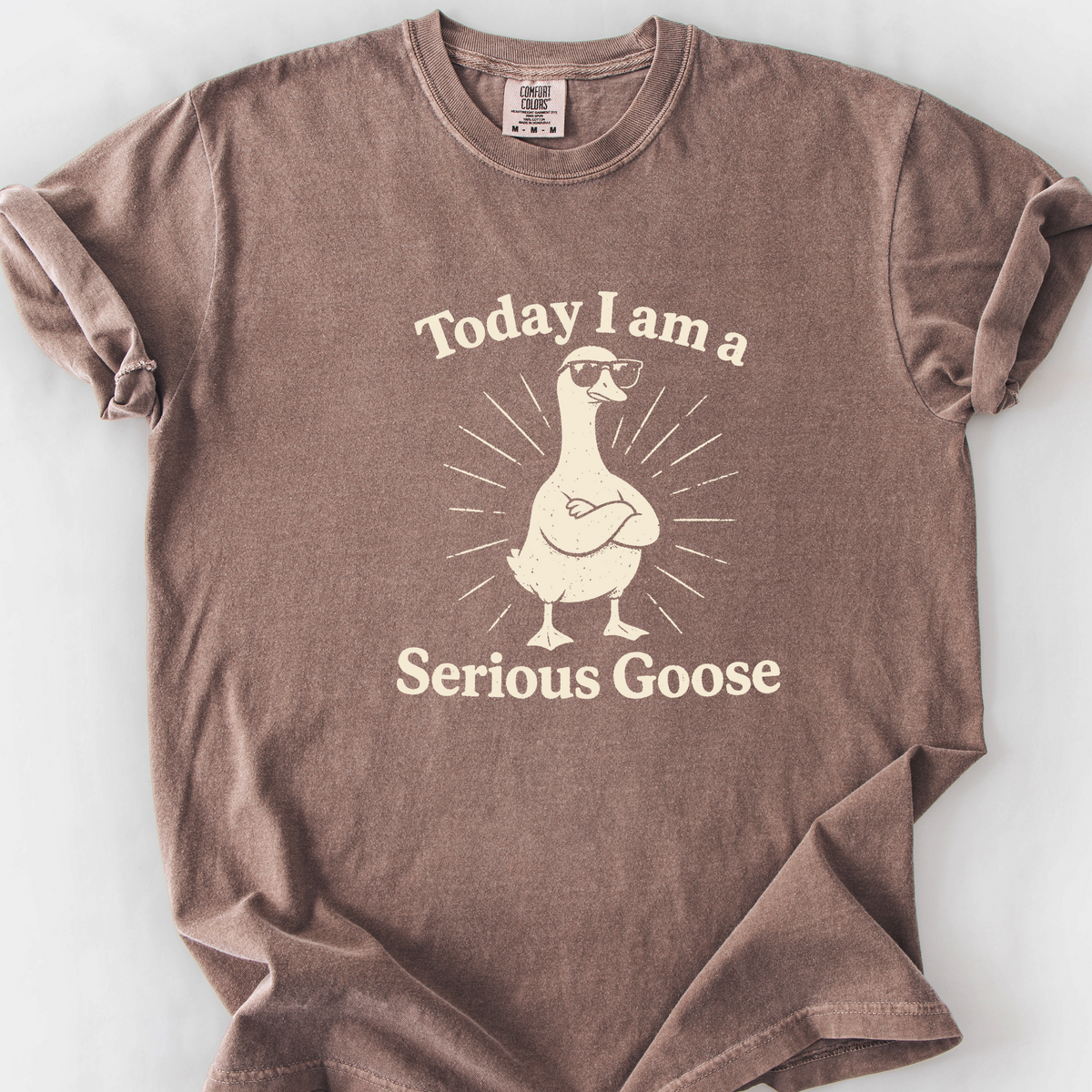 Serious Goose (LV) T-Shirt — Espresso