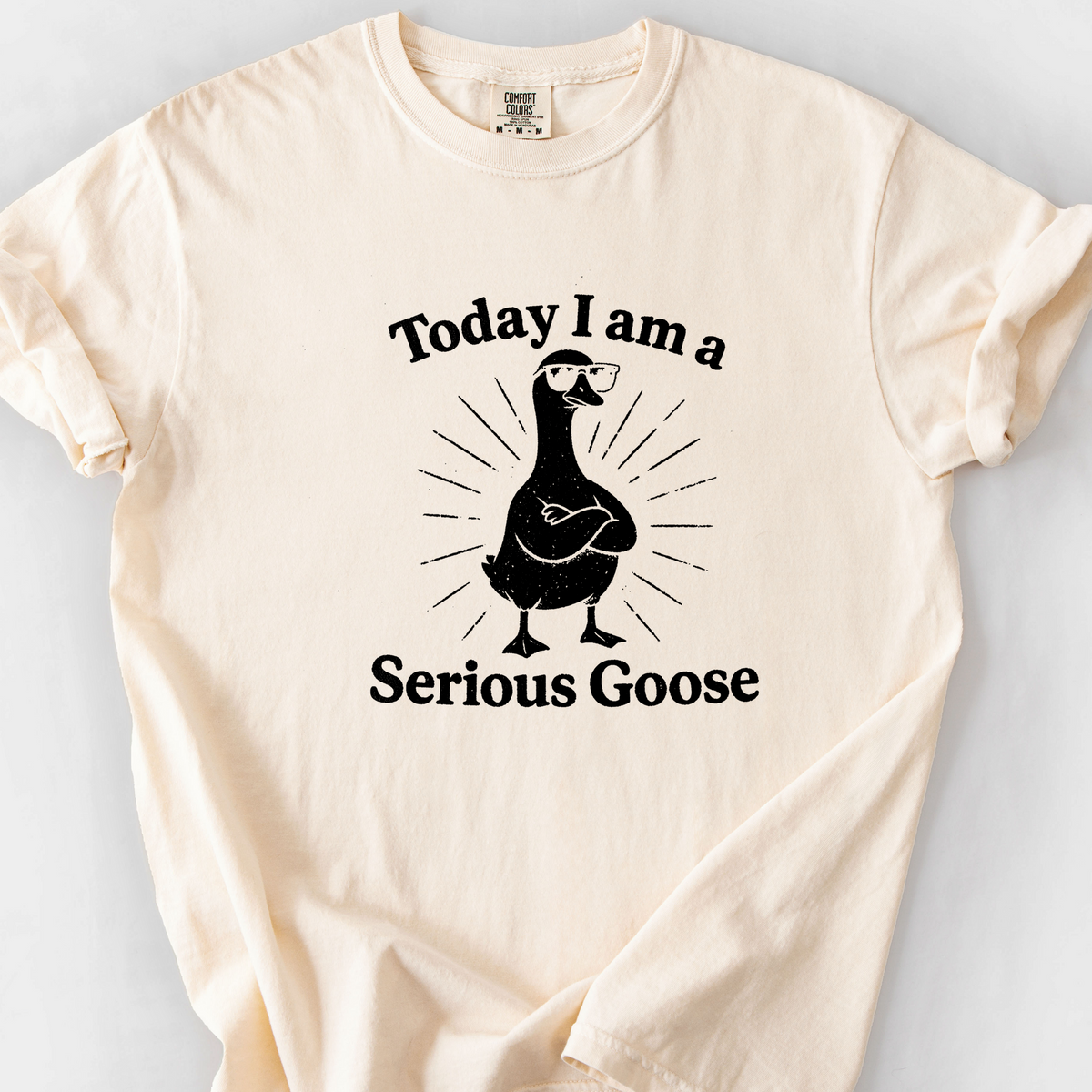 Serious Goose (LV) T-Shirt — Ivory