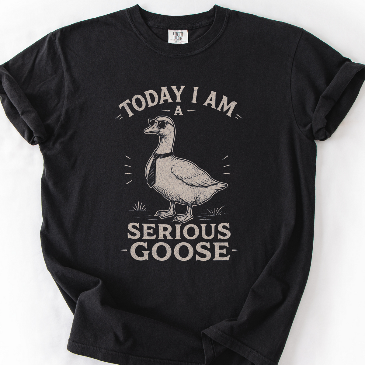 Serious Goose T-Shirt — Black