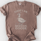 Serious Goose T-Shirt — Espresso