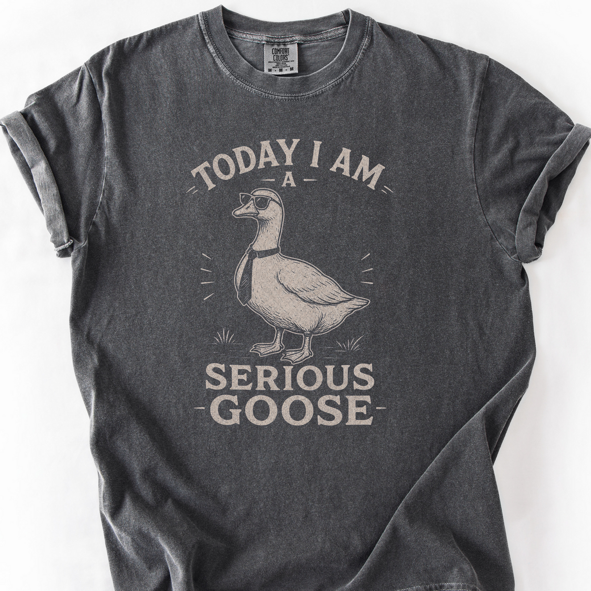 Serious Goose T-Shirt — Pepper