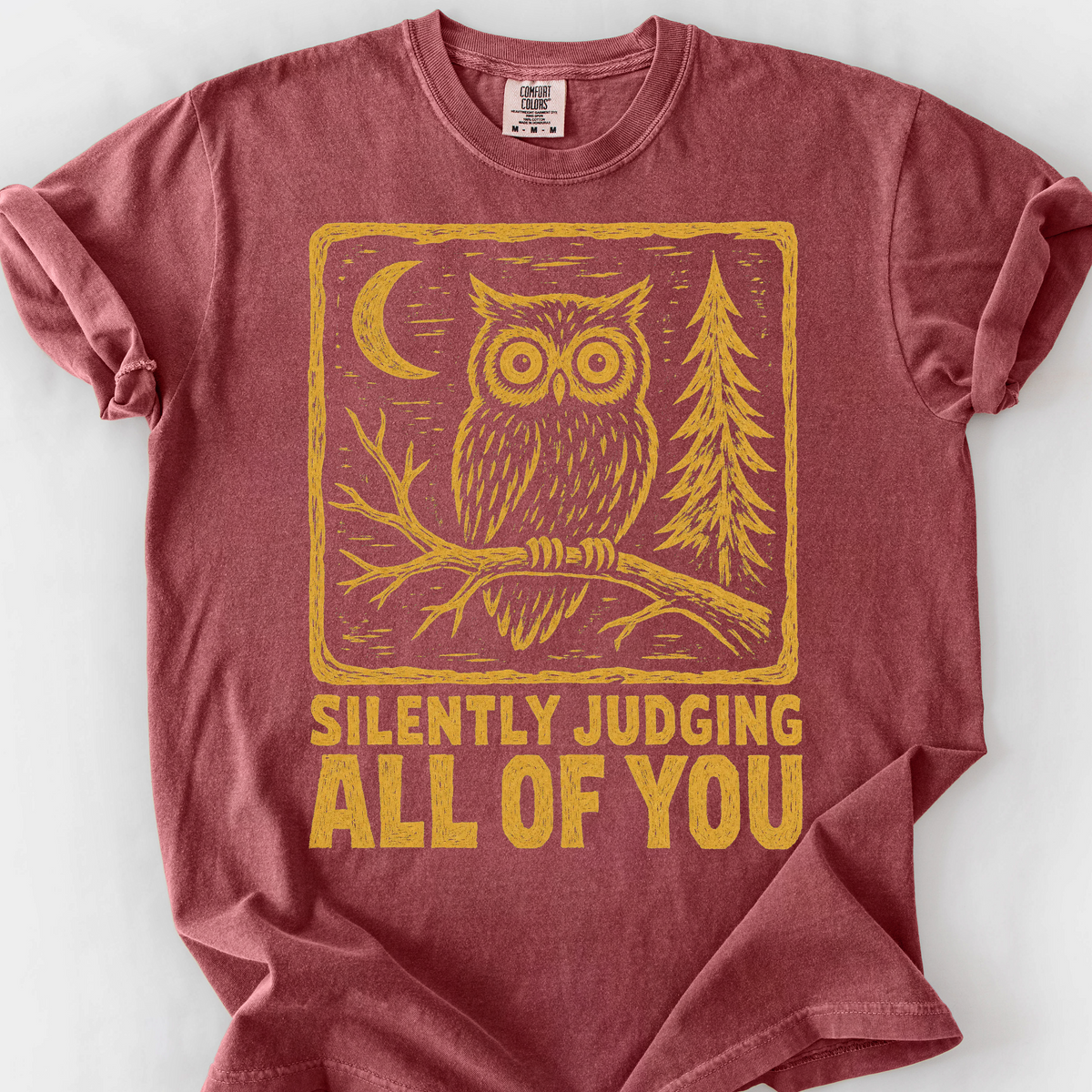 Silently Judging All Of You T-Shirt — Brick