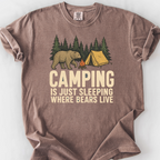 Sleeping Where Bears Live T-Shirt — Espresso